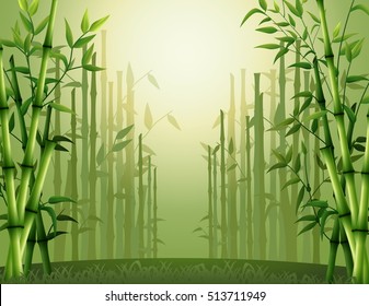 Vector illustration of Green bamboo trees background inside the forest