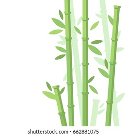 
Vector illustration of green bamboo trees background. Bamboo stems with leaves on white background. Flat vector illustration.