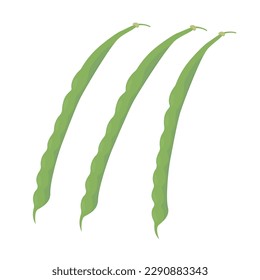 Ilustración vectorial de las judías verdes sobre un fondo blanco.