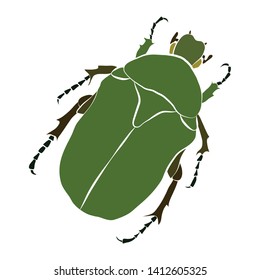 Vector illustration of green beetle. Cryptocephalus sericeus