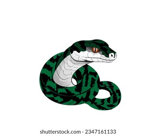 Ilustración vectorial de un serpiente boa verde sobre fondo blanco