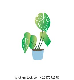 Vector illustration of green botanical - Vector isolated icons illustration