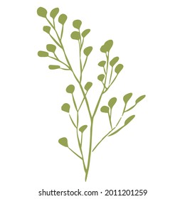 Vector illustration of a green branch with foliage. Silhouette. Design for fabric, printing, wallpaper, packaging, posters, medicine, beauty, postcards.