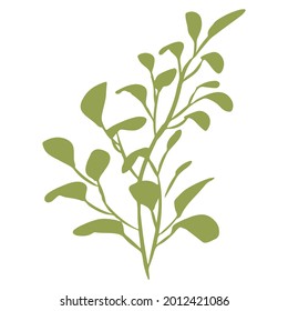 Vector illustration of a green branch with foliage. Silhouette. Design for fabric, printing, wallpaper, packaging, posters, medicine, beauty, postcards.