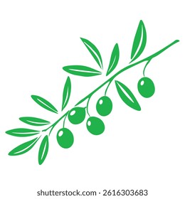 vector illustration of green branch, olives hand drawn vector illustration