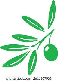 vector illustration, green branch, olives hand dran illustration. 