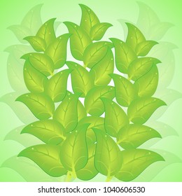 vector illustration green bright leaves