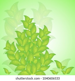 vector illustration green bright leaves