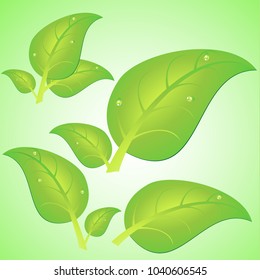 vector illustration green bright leaves