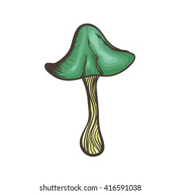 Vector illustration with green bright line art dangerous and poison mushroom on white background. Dangerous mushroom.