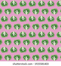 Vector illustration of green broccoli on pink background cartoon patern