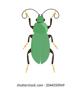 Vector illustration of a green bug 