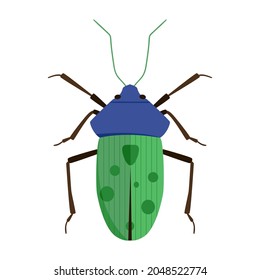 Vector illustration of a  green bug 