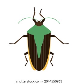 Vector Illustration Green Bug Wings Stock Vector (royalty Free 