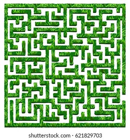 Vector illustration of green bushes labyrinth, maze. Isolated on white background