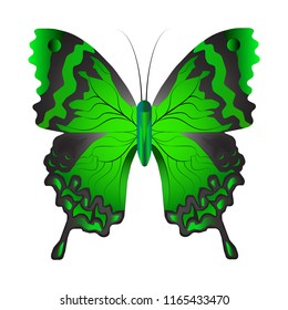 Vector illustration of a green butterfly