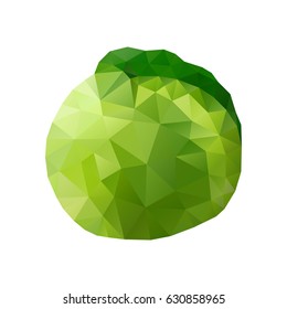 Vector illustration of green cabbage. Polygonal vegetable collection element.
