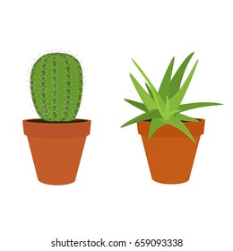 Vector  illustration green cactus  and aloe in a pot isolated on white background. Mexican flower cactus icon