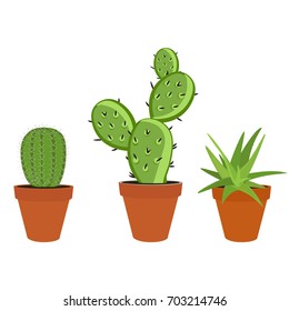 Vector illustration green cactus and aloe in a pot isolated on white background. Mexican flower cactus icon