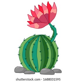 vector illustration, green cactus and bright flowers, isolate on a white background, for different design