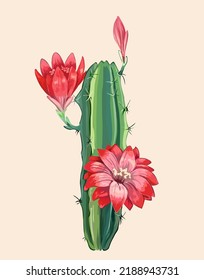 Vector illustration of green cactus and bright flowers, isolate on a white background for different designs.