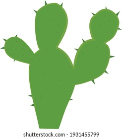 ilustración vectorial, cactus verdes, con espinas, aislados en fondo blanco, estilo de dibujos animados bonitos