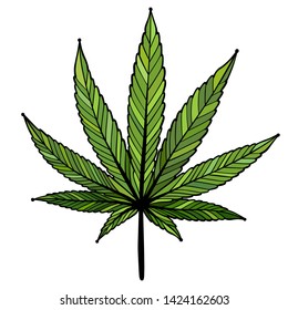 Vector illustration of green cannabis leaf on white background.