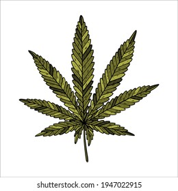 Ilustración vectorial de la hoja verde de cannabis sobre fondo blanco.