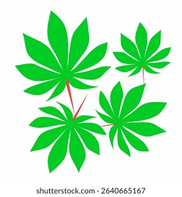 Vector illustration of green cassava leaves collection with stalks isolated on white background.