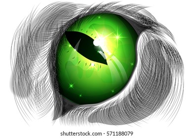 vector illustration of green cat eye against a white coat
