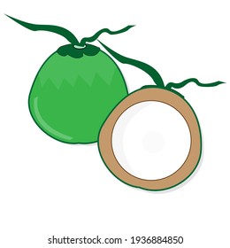Ilustración vectorial del coco verde en forma linda y útil para aumentar el ión corporal.