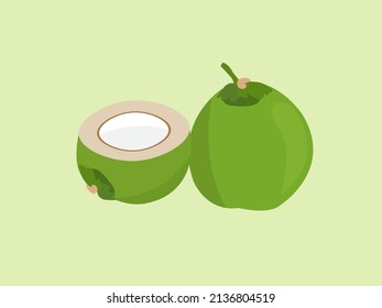vector illustration of green coconut fruit suitable for food product design and illustration of articles and food made from coconut

