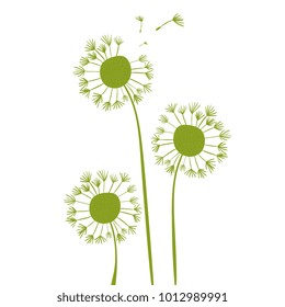 Vector illustration of green colored dandelions with flying seeds. 