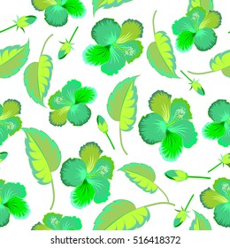 Vector illustration in green colors on a white background. Tropical flower, hibiscus pattern.