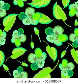 Vector illustration in green colors on a black background. Seamless tropical flower, hibiscus pattern.