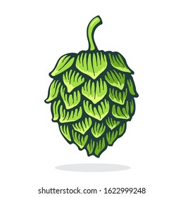 Vector illustration. Green cone of hop. Symbol of beer, pub and alcoholic beverage. Graphic design with contour. Clip-art print for packaging, menu, signboard, showcase. Isolated on white background