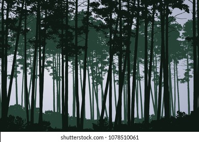 Vector illustration of green coniferous deep forest with tall trees, under grey cloudy sky