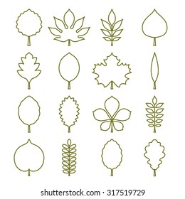 Vector illustration: green contours of tree leaves (elm, beech, ash, linden, birch, alder, aspen, willow, hawthorn, walnut, apple, oak, acacia, chestnut, conker etc.) isolated on white background