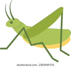 Vector illustration of a green cricket or cicada.