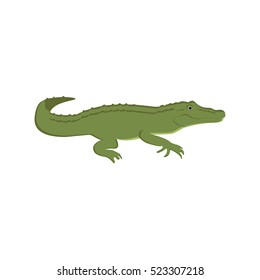 Vector illustration green crocodile friendly funny wild animal zoo design vector template. Alligator reptile. Predator mascot