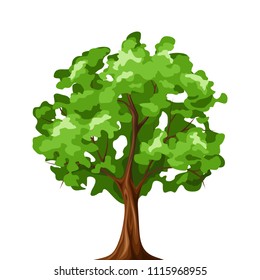 Vector illustration of a green deciduous tree isolated on a white background.