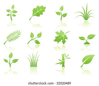 Vector illustration of green ecology nature floral icon set with reflections