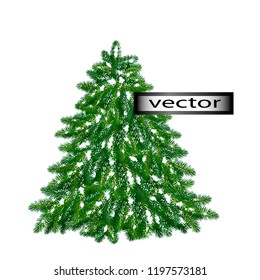 Vector illustration of a green fir tree on branches fallen snow, winter Christmas tree for holiday decoration