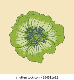 vector illustration of green flower 