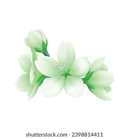 Vector illustration of green flower on white.