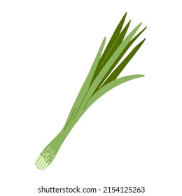 Vector illustration of green fresh onion in cartoon flat style. Fresh vegetable, healthy vegan food