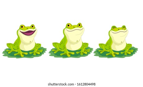 Vector illustration of green frog in between  - illustration