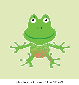 vector illustration of green frog on grey background