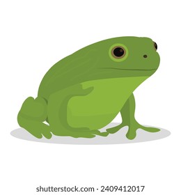 vector illustration of green frog on white background. side view. Eps 10. 