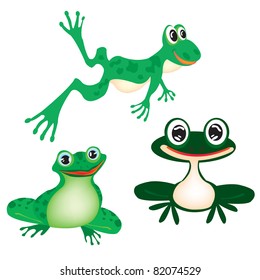 Vector illustration green frog on white background